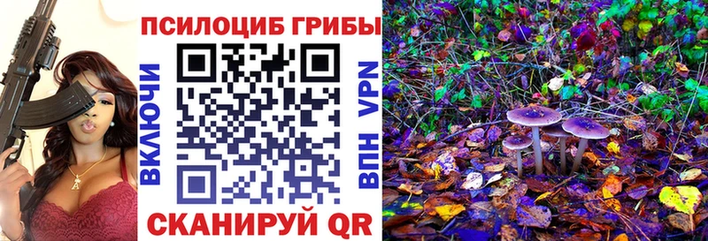 Псилоцибиновые грибы мухоморы  OMG вход  Мостовской  продажа наркотиков 